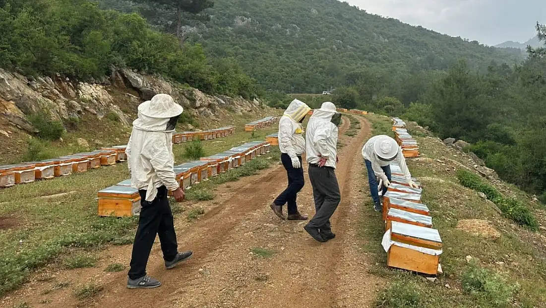 Adıyamanlı arıcılar, 2025 yılı bal fiyatlarını açıkladı