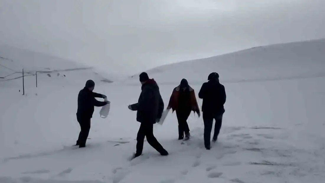 Darende’de öğretmen ve öğrenciler yaban hayvanlarını unutmadı