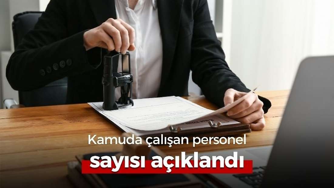 Kamuda istihdam 5,4 milyonu aştı: İşte personel dağılımı