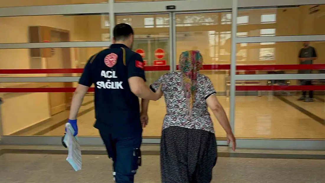 Yılanın ısırdığı kadın hastaneye kaldırıldı