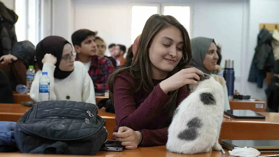 'Labne' fakültede öğrencilerle derslere giriyor