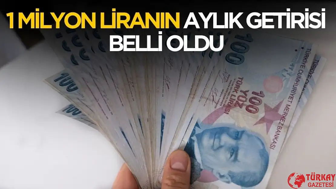 1 milyon liranın aylık getirisi değişti