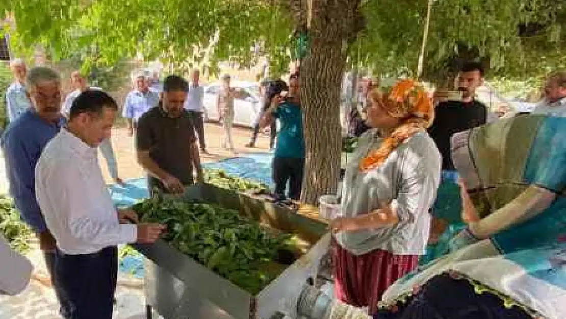 Dağtekin Tüm Kadrolarımızla Milletimizin Yanındayız