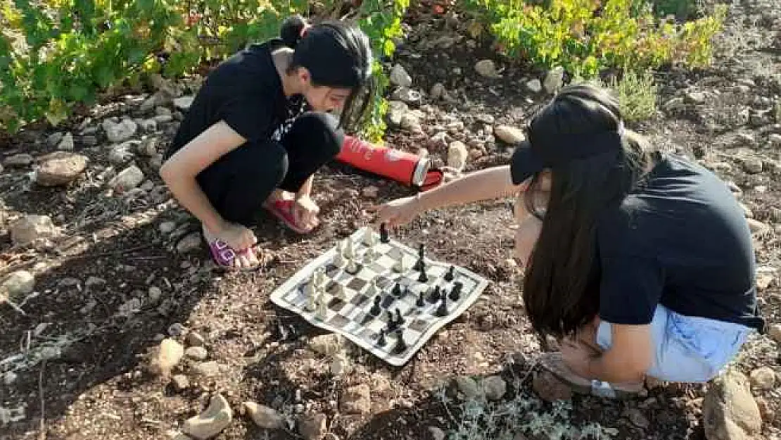 Sokakta Satranç Var Projesi Farklı Noktalarda Düzenlendi