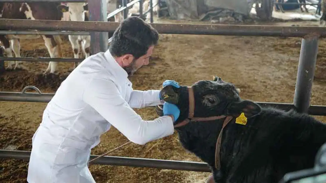 Başkan Kılınç, 'Kuduz' Açıklaması Yaptı