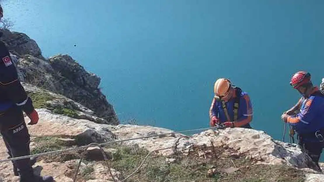 AFAD, kayalıklarda mahsur kalan keçileri kurtardı