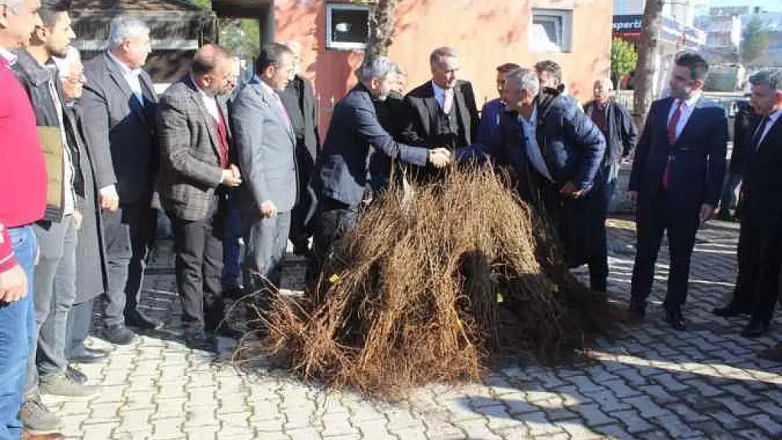 Çiftçilere 10 bin nar fidanı dağıtıldı