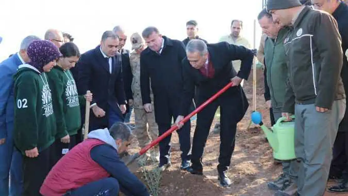 15 Temmuz Şehitleri Anısına 251 Fidan Toprakla Buluştu