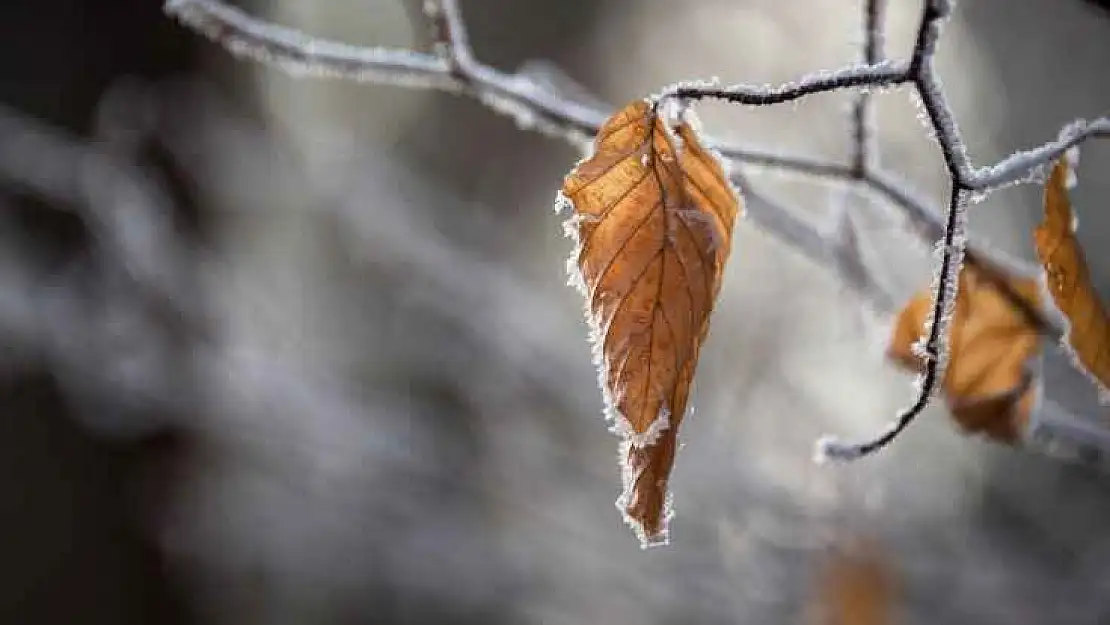 Meteorolojiden kuvvetli kar yağışı uyarısı