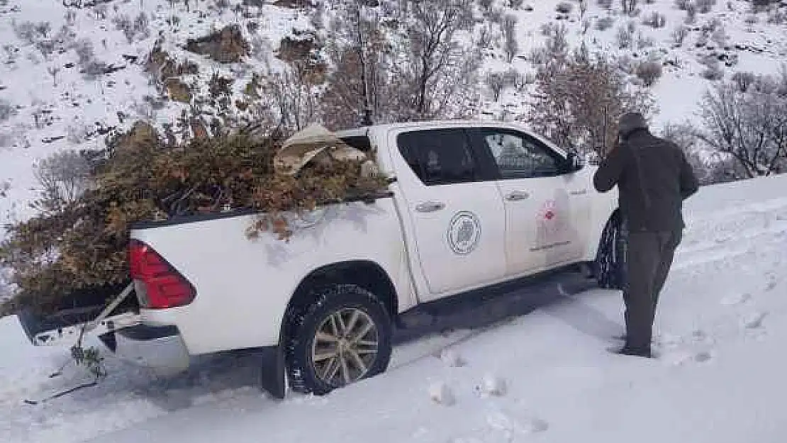 Yaban hayvanlarına yem bırakıldı