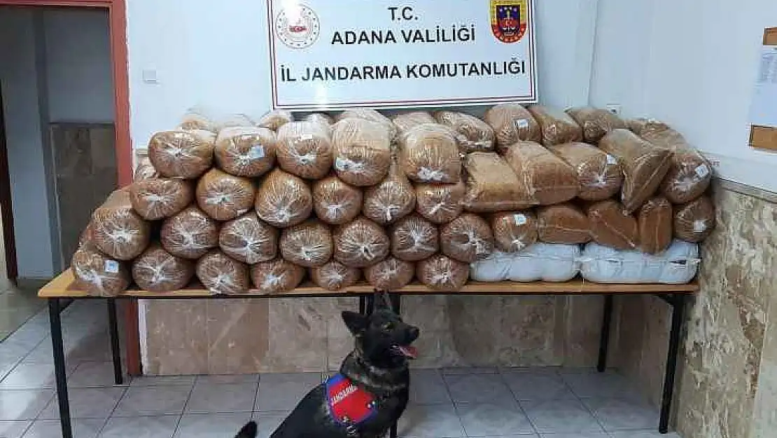 Jandarma Tarafından 925 Kilogram Kıyılmış Tütüne
El Konuldu