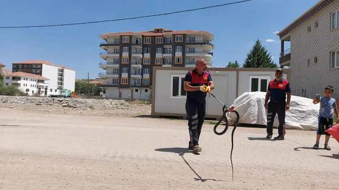 Evin Bahçesine Giren Yılan Yakalandı