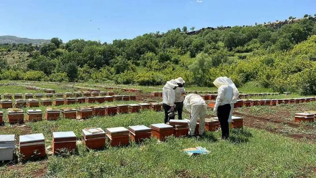 Üreticiler Bal Fiyatlarını Belirledi