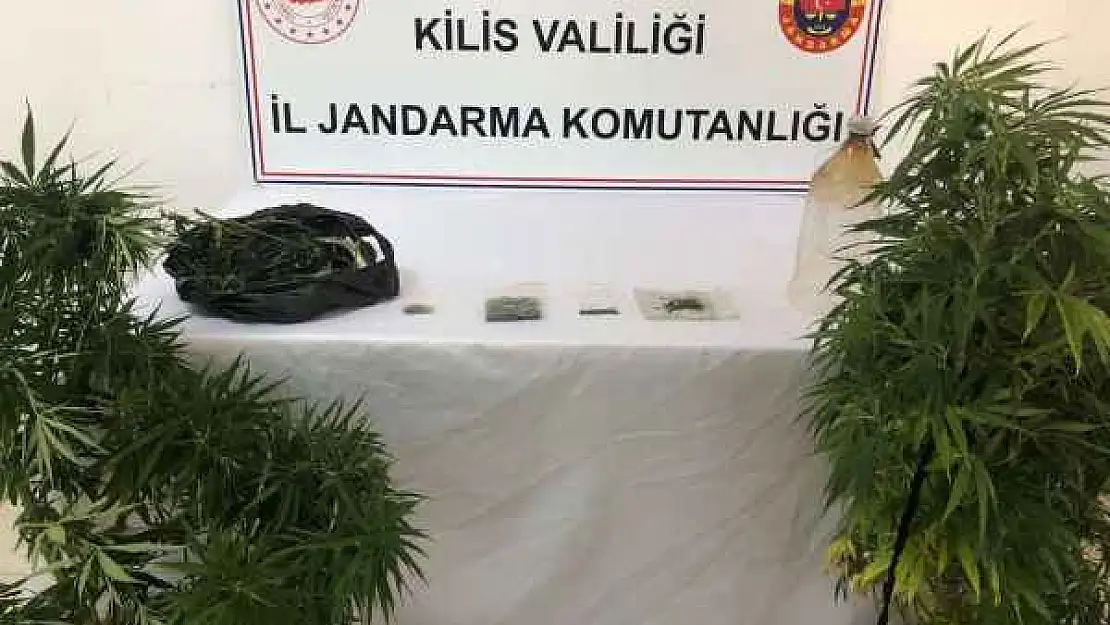 Esrar Yetiştiren Şahsın Evine Jandarmadan Operasyon: 2 Gözaltı