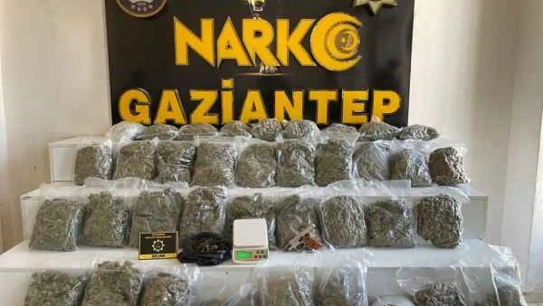 18 Kilo Skunk Ele Geçirildi: 1 Gözaltı