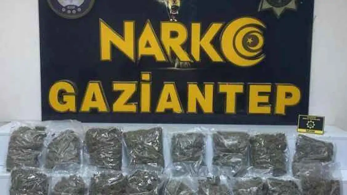 8 kilo 550 Gram Skunk Ele Geçirildi: 2 Gözaltı