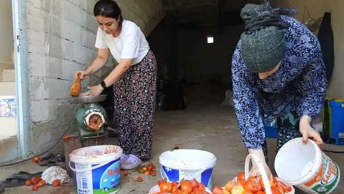 Kavurucu Sıcak Altında Salça Yapımı Başladı