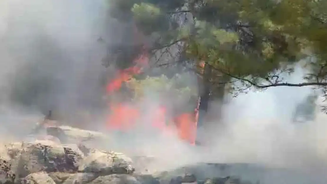 Adıyaman'da Karadağ Ormanlık Alanda Yangın