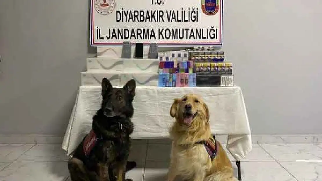 Jandarma ekipleri kaçakçılara geçit vermiyor