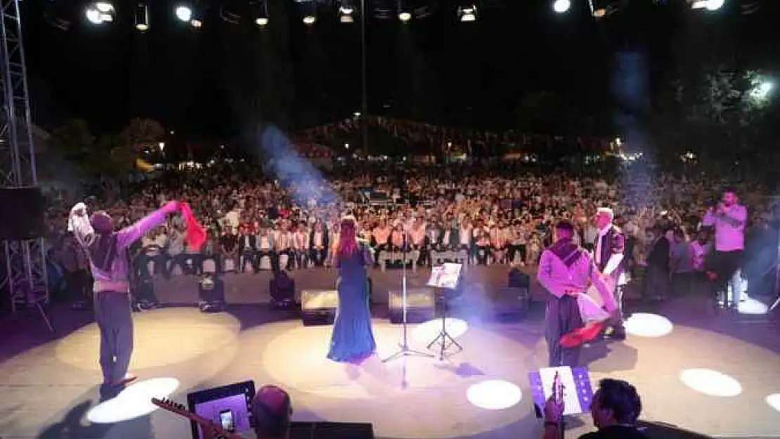 Hemşehriler Derneği Festivalinde Şanlıurfa standına yoğun ilgi