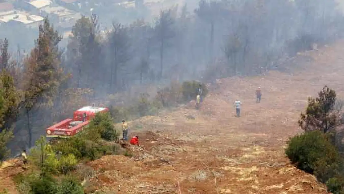 Hatay'daki İki Orman Yangını da Kontrol Altına Alındı