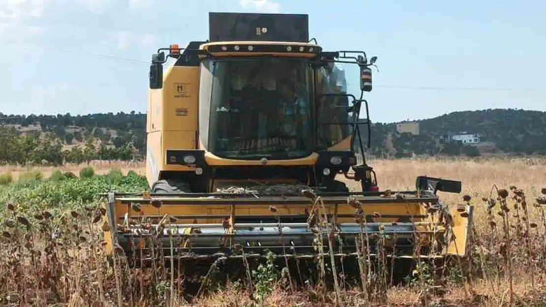 Kaymakam Seyhan ayçiçeği hasadına katıldı