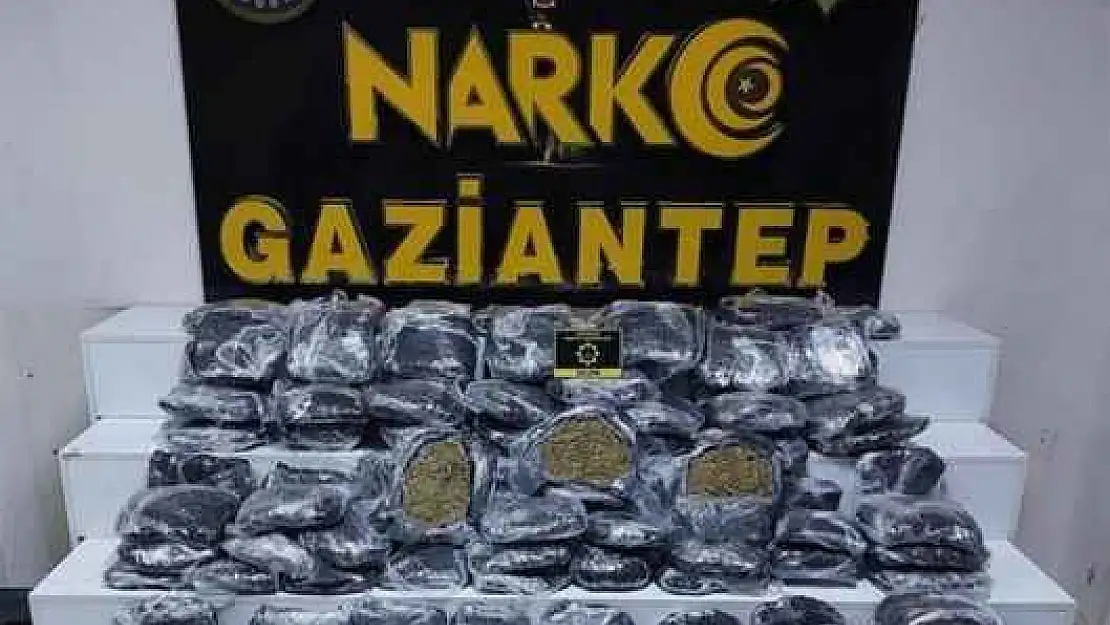 51 Kilo Skunk Ele Geçirildi