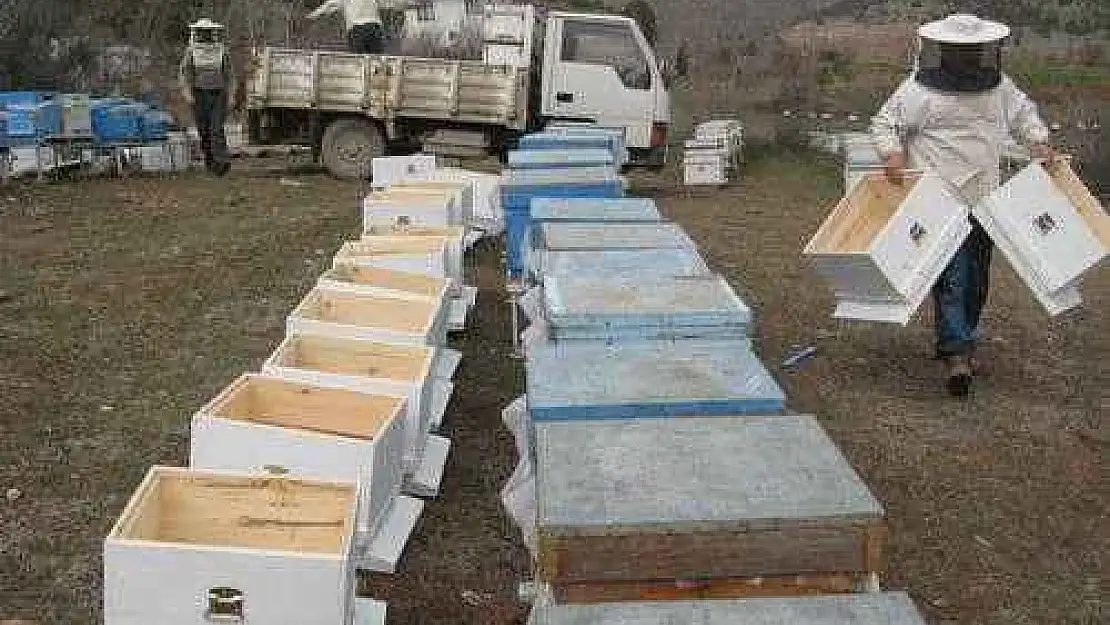 Arıcılara 3 Bin Adet Kovan Hibe Edilecek