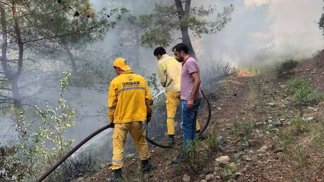 Osmaniye Düziçi ilçesinde orman yangını başladı