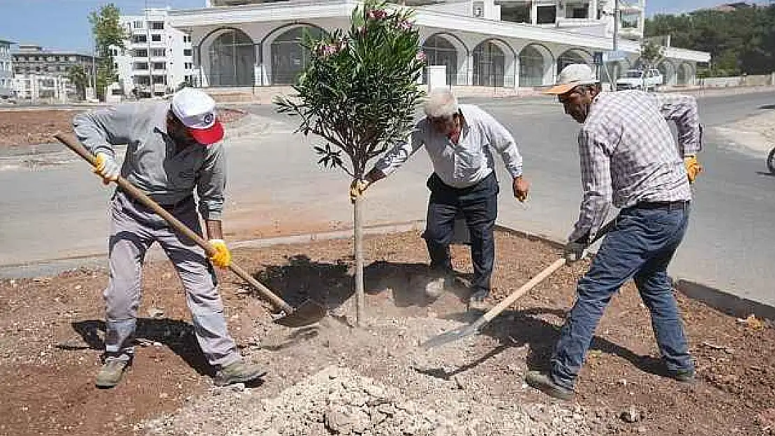 Adıyaman'de 'Yeşil Çevre' İçin Çalışmalar Sürüyor