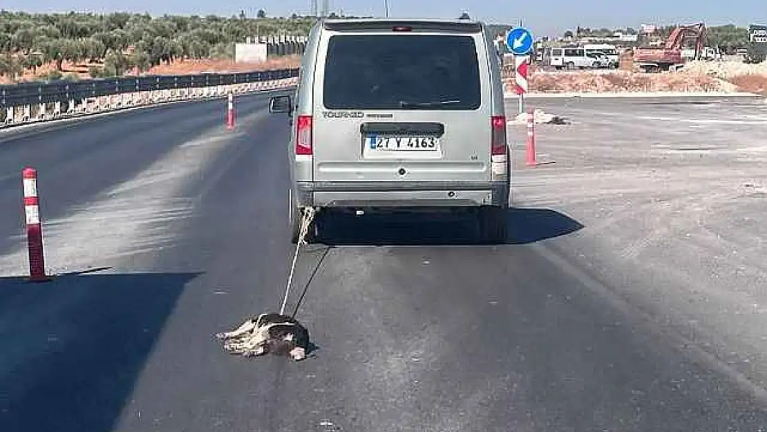 Otomobilin arkasına bağladığı köpeği sürükleyerek öldürdü