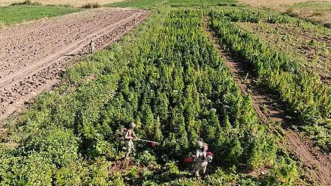 Terörün Finans Kaynağına Büyük Darbe: 2 Ton Esrar Ele Geçirildi