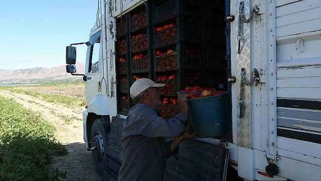 Suların Çekildiği Baraj Sahasında Tarımsal Üretim