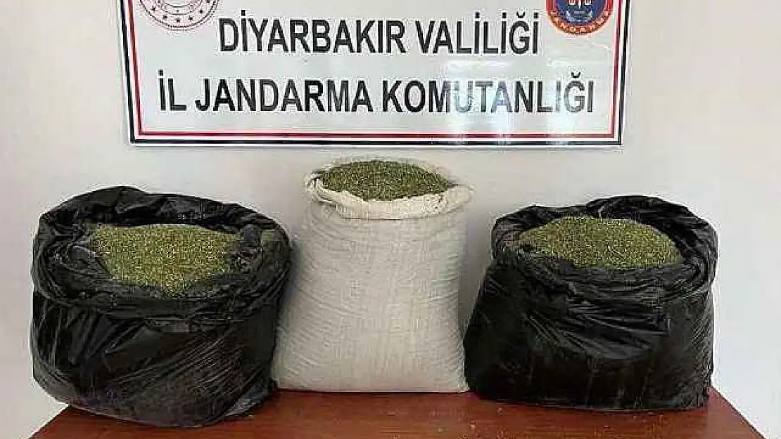 121 Kilo esrar ele geçirildi