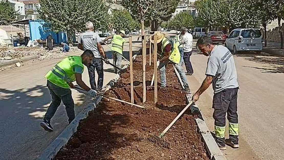 Refüj Ve Kavşakların Bakım, Onarım Çalışmalarına Devam Ediyor