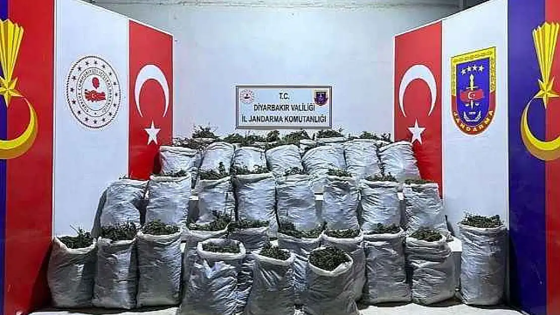 10 Bin Kök Kenevir Ve 202 Kilo Esrar Ele Geçirildi