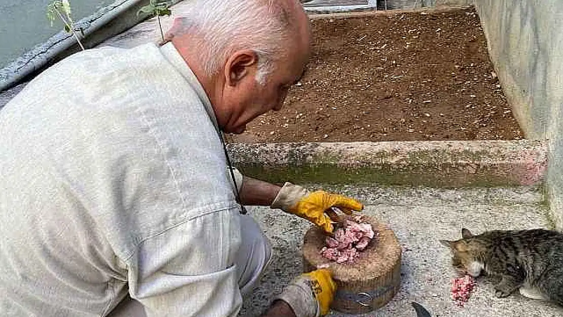 Depremde Tedavi Edip İyileştirdiler, Şimdi Ailenin Parçası Oldu