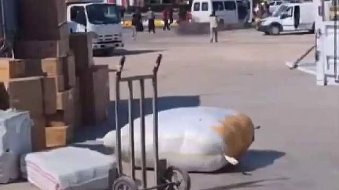 Sokak Ortasında Birbirlerine Ateş Ettiler