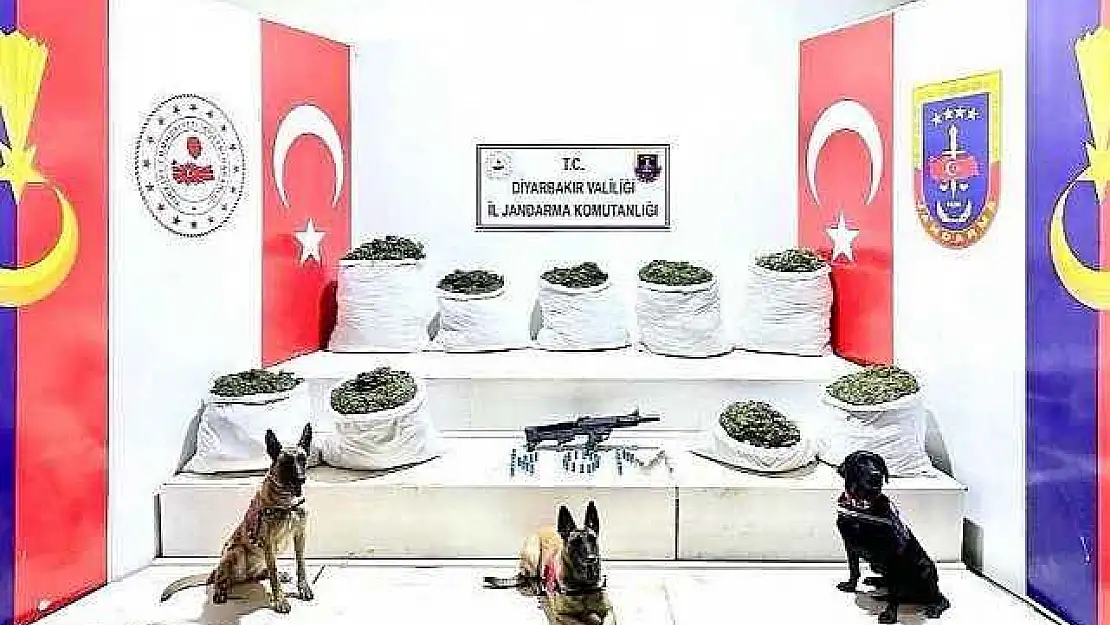 364,5 Kilo Uyuşturucu İle 150 Bin Kök Skunk Bitkisi Ele Geçirildi