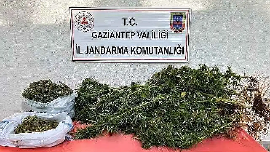 Kaçakçılık Ve Uyuşturucu Operasyonu: 9 Şahıs Tutuklandı