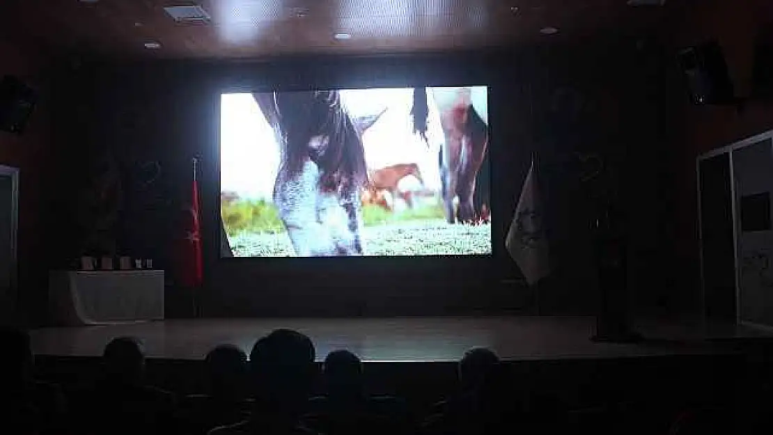 Uluslararası Göbeklitepe Kısa Film Festivali'ne 79 ülkeden 953 film katıldı