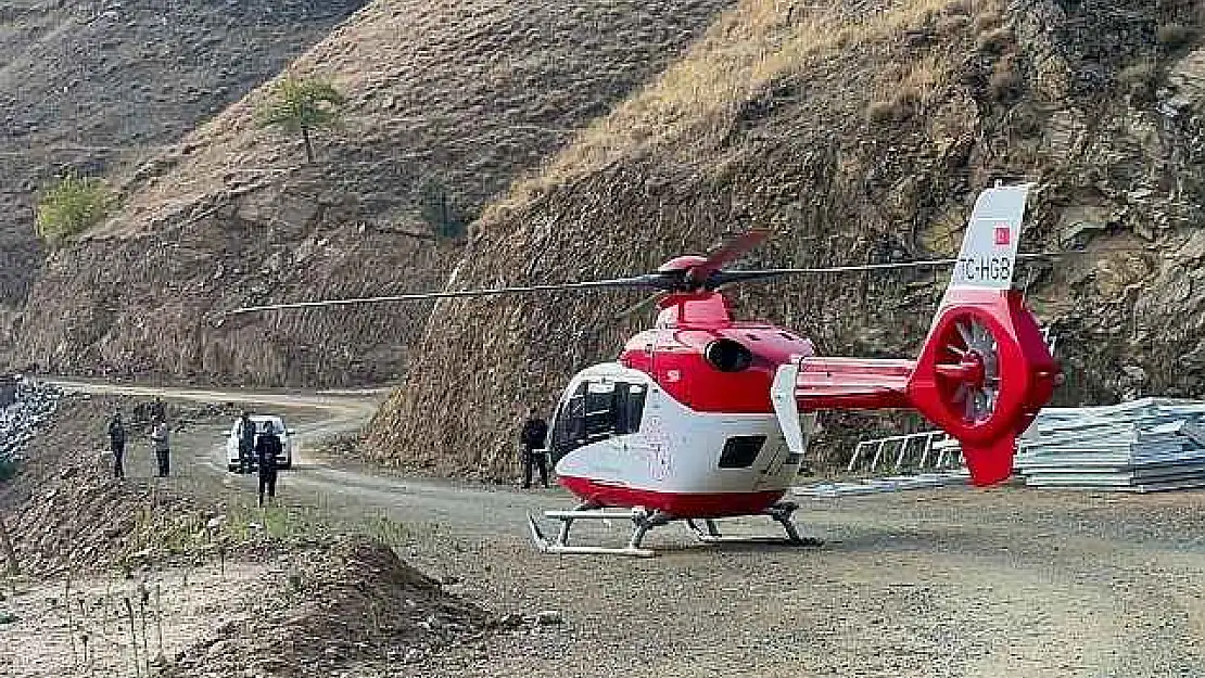 Ağaçtan Düştü Yardımına Ambulans Helikopter Yetişti