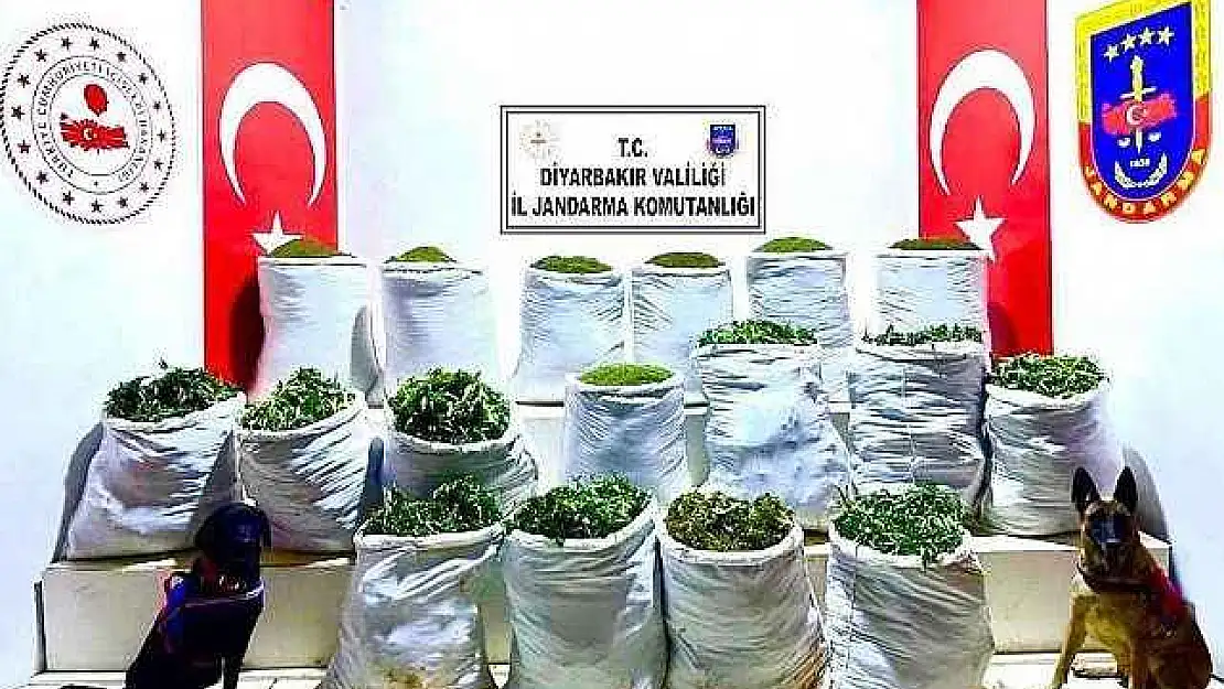 Uyuşturucu Operasyonu: 285 Kilo Esrar Ele Geçirildi