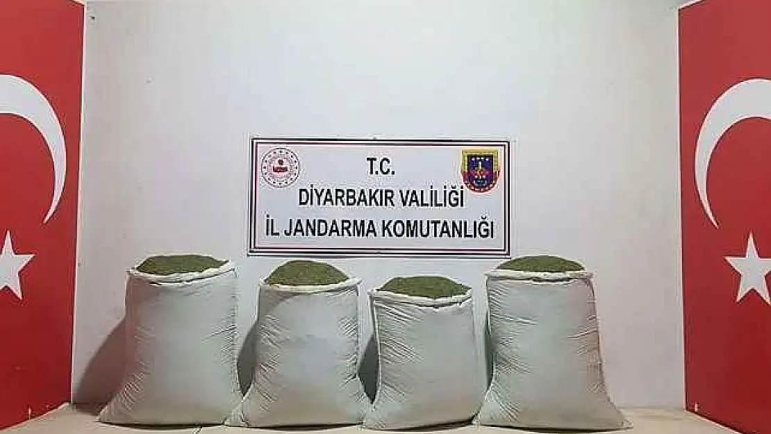 240 Kilo Esrar Ele Geçirildi