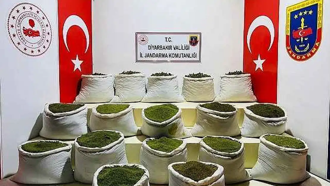 1 Ton 354 Kilo Esrar, 122 Bin Uyuşturucu Bitkisi Ele Geçirildi