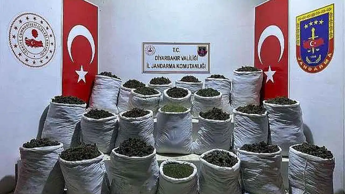 435 Kilo Esrar Ve 632 Bin 120 Kök Esrar Bitkisi Ele Geçirildi