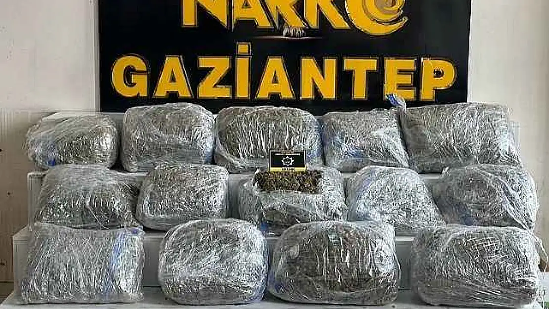 78 Kilogram Skunk Ele Geçirildi: 1 Şahıs Tutuklandı