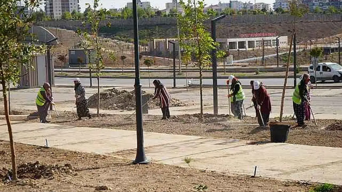 Adıyaman Millet Bahçesi Ağaçlandırılıyor