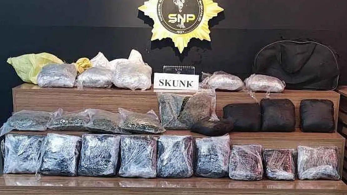 15 Kilo Skunk Ele Geçirildi