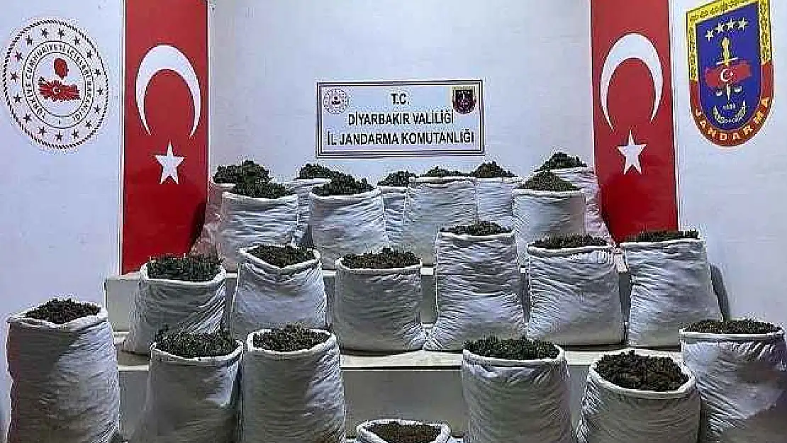 Lice'de 280 kilo esrar ve 244 bin 500 esrar bitkisi ele geçirildi